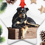 Kelpie 2 Ornament (Star)