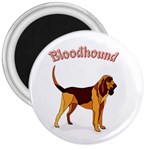 Bloodhound 3  Magnet
