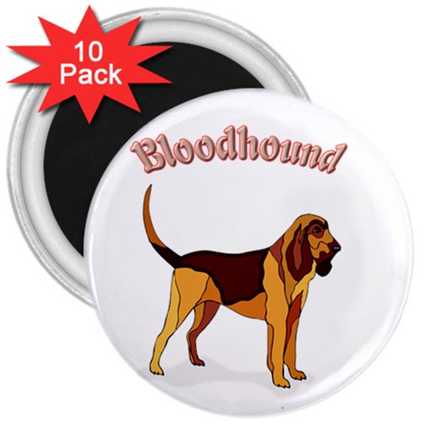 Bloodhound 3  Magnet (10 pack) from ArtsNow.com Front