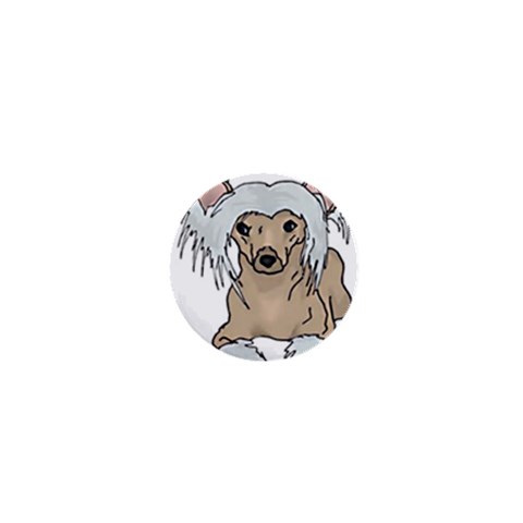 Chinese crested 2 Front