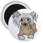 Chinese crested 2 - 3  Magnet