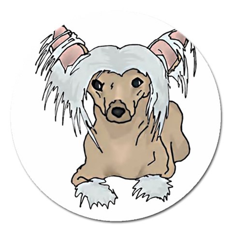 Chinese crested 2 Front