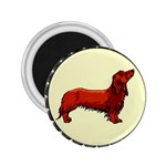 dachshund 2.25  Magnet