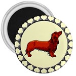 dachshund 3  Magnet