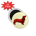 dachshund 1.75  Magnet (10 pack) 