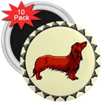 dachshund 3  Magnet (10 pack)