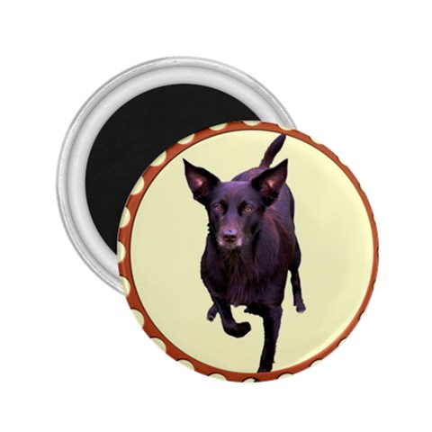Kelpie 1 2.25  Magnet from ArtsNow.com Front