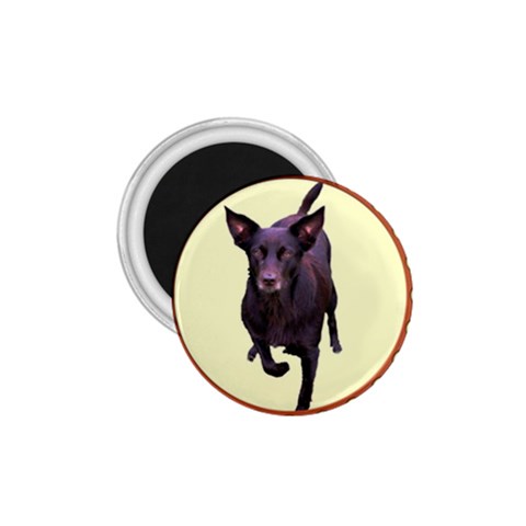 Kelpie 1 1.75  Magnet from ArtsNow.com Front