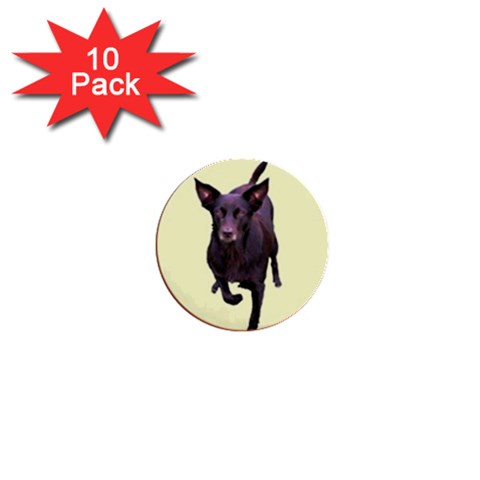 Kelpie 1 1  Mini Button (10 pack)  from ArtsNow.com Front