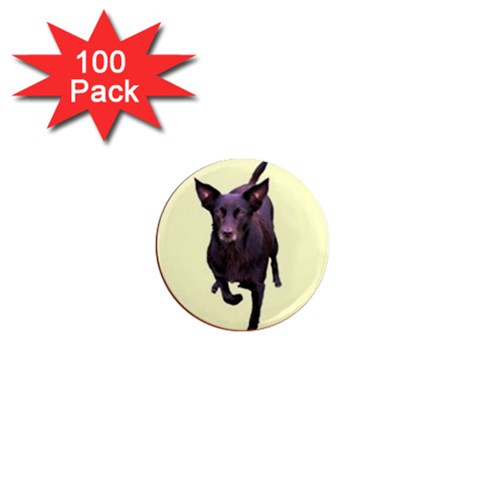 Kelpie 1 1  Mini Magnet (100 pack)  from ArtsNow.com Front