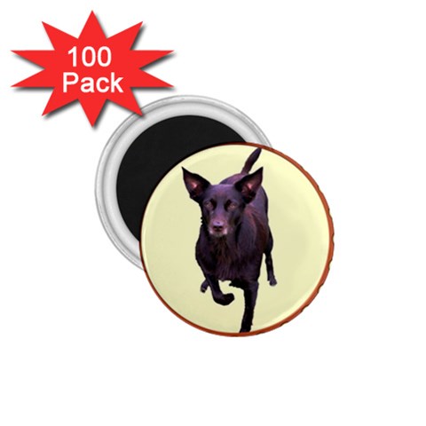 Kelpie 1 1.75  Magnet (100 pack)  from ArtsNow.com Front
