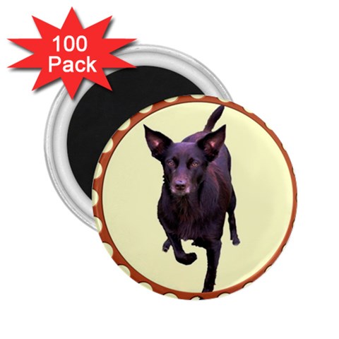 Kelpie 1 2.25  Magnet (100 pack)  from ArtsNow.com Front