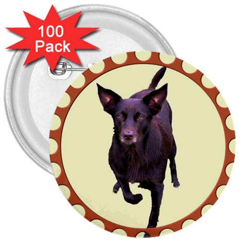 Kelpie 1 3  Button (100 pack) from ArtsNow.com Front