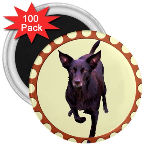 Kelpie 1 3  Magnet (100 pack) from ArtsNow.com Front
