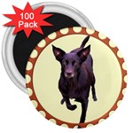 Kelpie 1 3  Magnet (100 pack)