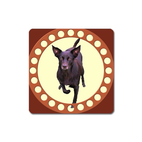 Kelpie 1 Magnet (Square) from ArtsNow.com Front