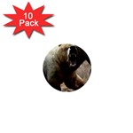 22 1  Mini Button (10 pack) 