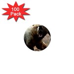 22 1  Mini Magnet (100 pack) 