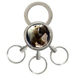 22 3-Ring Key Chain