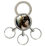 22 3-Ring Key Chain