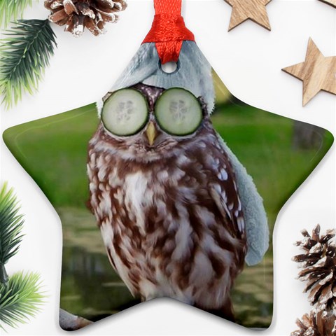 6 Ornament (Star) from ArtsNow.com Front