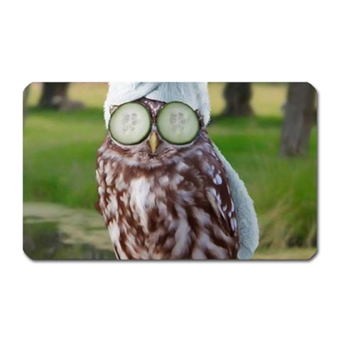 6 Magnet (Rectangular) from ArtsNow.com Front
