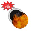 12 1.75  Magnet (100 pack) 