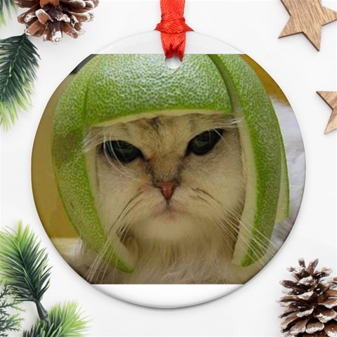 15 Ornament (Round) from ArtsNow.com Front