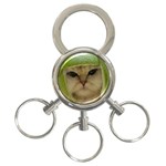 15 3-Ring Key Chain