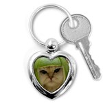 15 Key Chain (Heart)