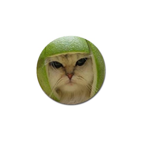 15 Golf Ball Marker (10 pack) from ArtsNow.com Front