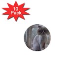 16 1  Mini Magnet (10 pack) 