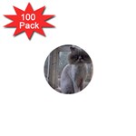 16 1  Mini Button (100 pack) 