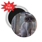 16 2.25  Magnet (10 pack)