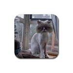 16 Rubber Coaster (Square)
