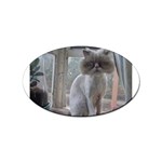 16 Sticker (Oval)