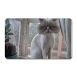 16 Magnet (Rectangular)