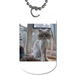 16 Dog Tag (One Side)