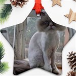 16 Star Ornament (Two Sides)