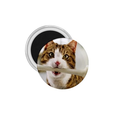 17 1.75  Magnet from ArtsNow.com Front