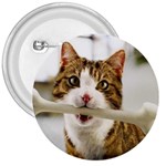 17 3  Button