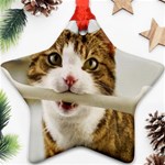 17 Ornament (Star)