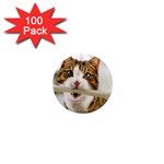 17 1  Mini Magnet (100 pack) 