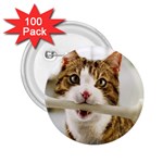 17 2.25  Button (100 pack)