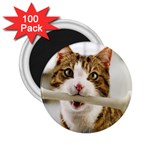 17 2.25  Magnet (100 pack) 