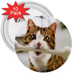 17 3  Button (10 pack)