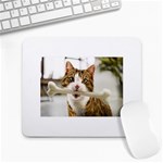 17 Large Mousepad