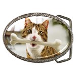 17 Belt Buckle