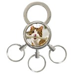 17 3-Ring Key Chain