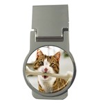 17 Money Clip (Round)
